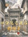 四合院之重启的柱子